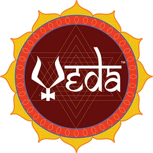 vvd veda logo